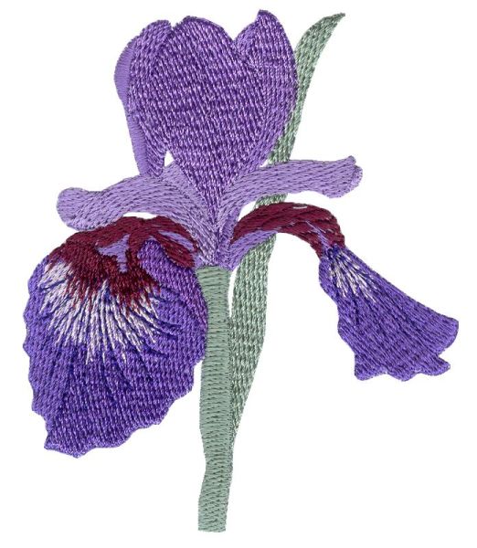 Irresistible Irises Set 1 Small-6