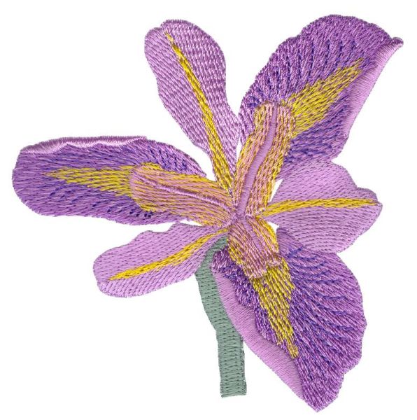 Irresistible Irises Set 1 Small-7
