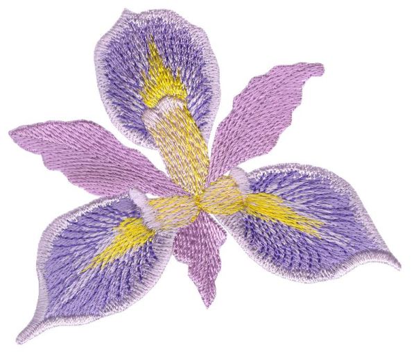 Irresistible Irises Set 1 Small-8