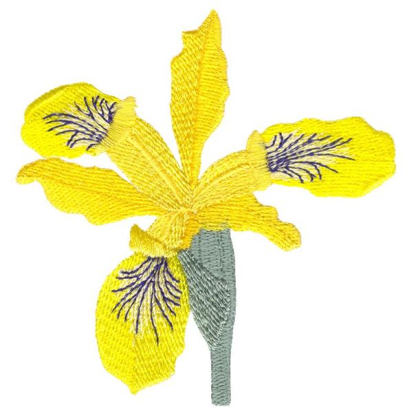 Irresistible Irises Set 1 Small-10