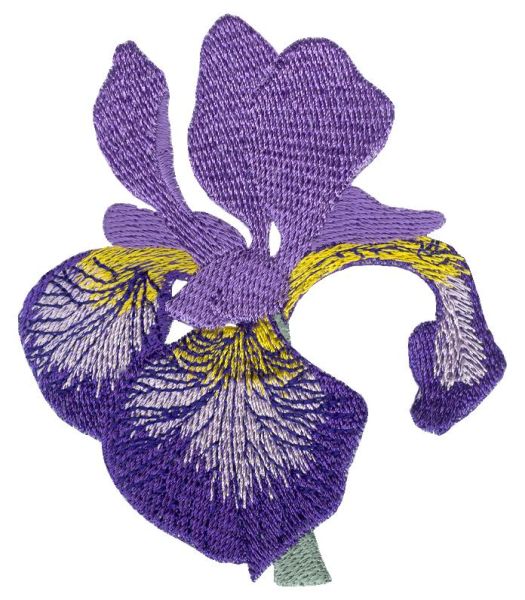 Irresistible Irises Set 1 Small-11
