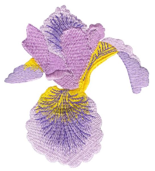 Irresistible Irises Set 1 Small-14
