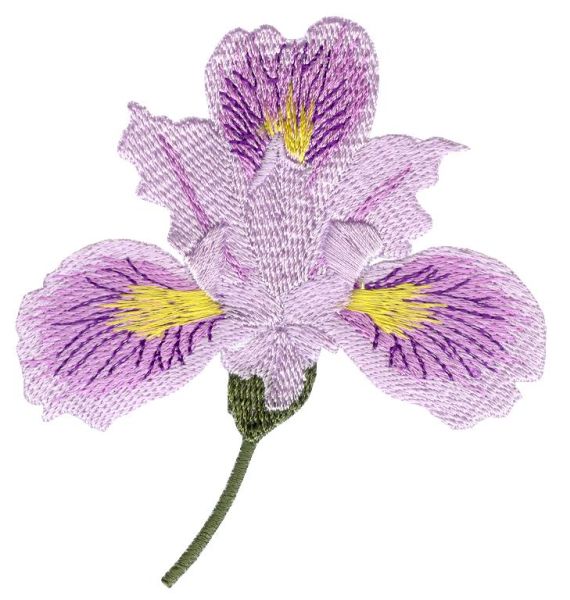 Irresistible Irises Sets 1 and 2 Small-16