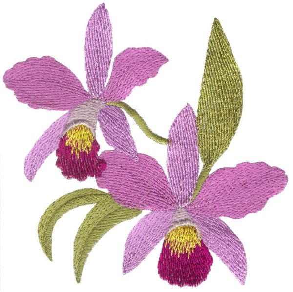 Awesome Orchids Set 1 Small-6