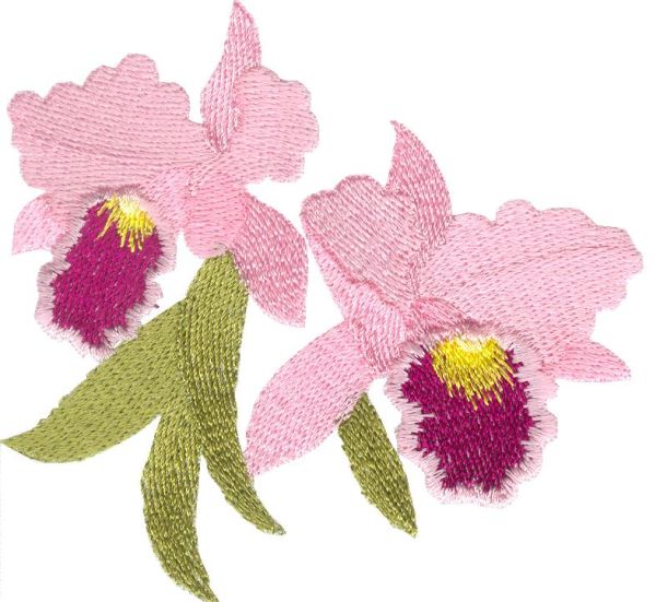 Awesome Orchids Set 1 Small-8