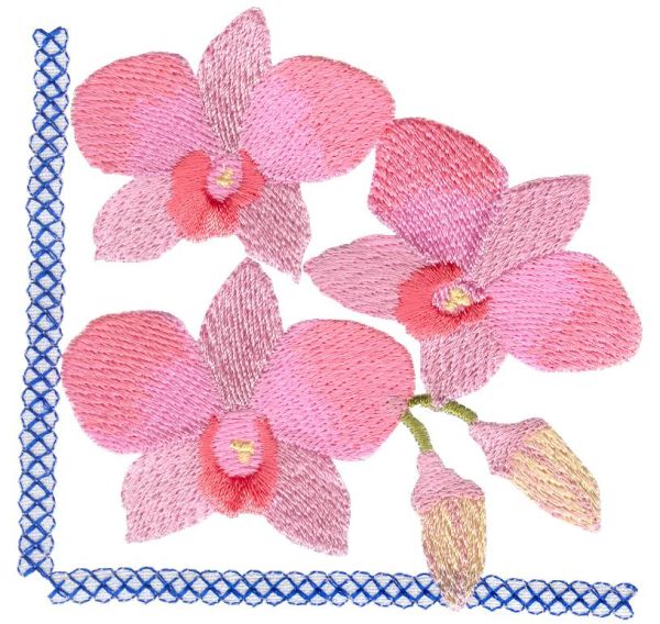 Awesome Orchids Sets 1 and 2 Small-12