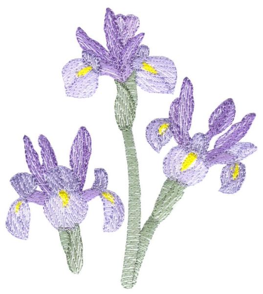 Lite Irises Set 1 Small-6