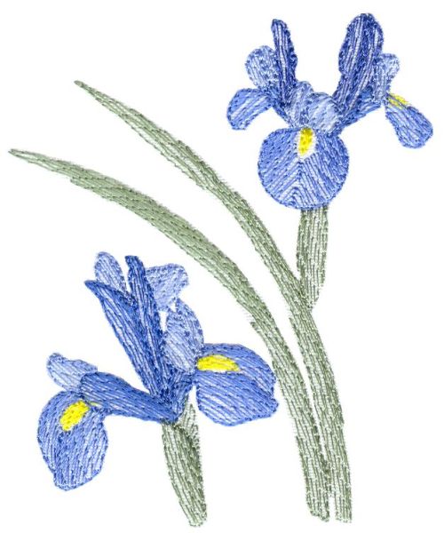 Lite Irises Set 1 Small-11