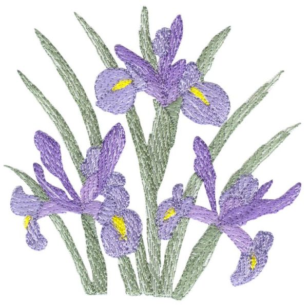 Lite Irises Set 2 Small-12