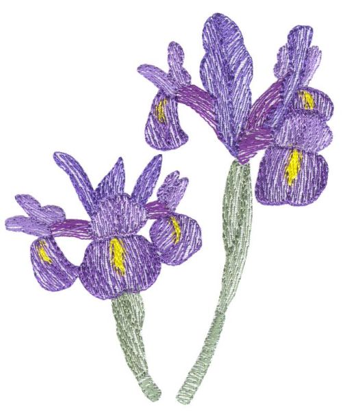 Lite Irises Set 2 Small-14
