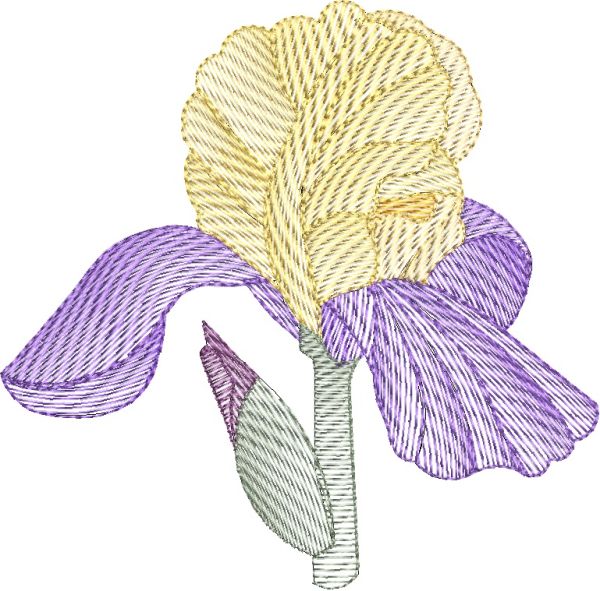 Lite Irises Sets 1 and 2 Small-3