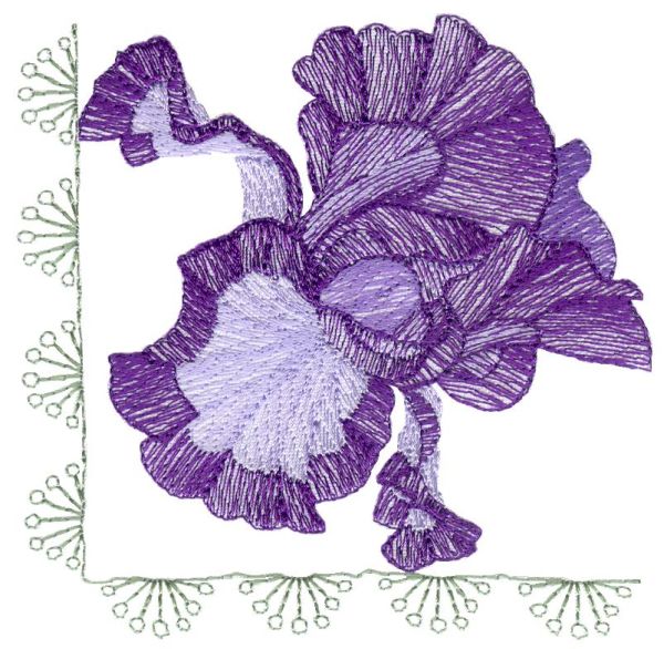 Lite Irises Sets 1 and 2 Small-5