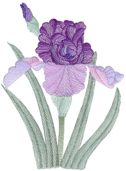 Lite Irises Set 1 Large-3