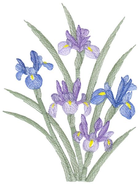 Lite Irises Set 1 Large-7