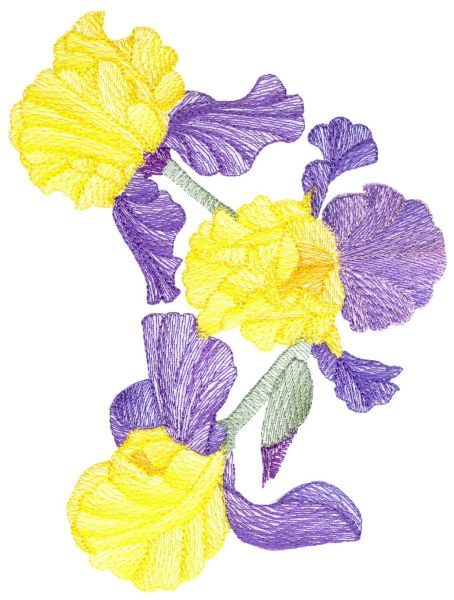 Lite Irises Set 1 Large-8