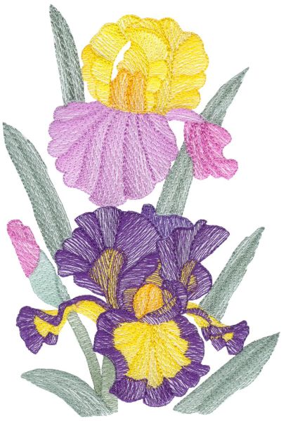 Lite Irises Set 2 Large-7