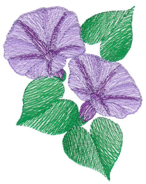 Lite Morning Glories Sets 1 and 2 Small-21