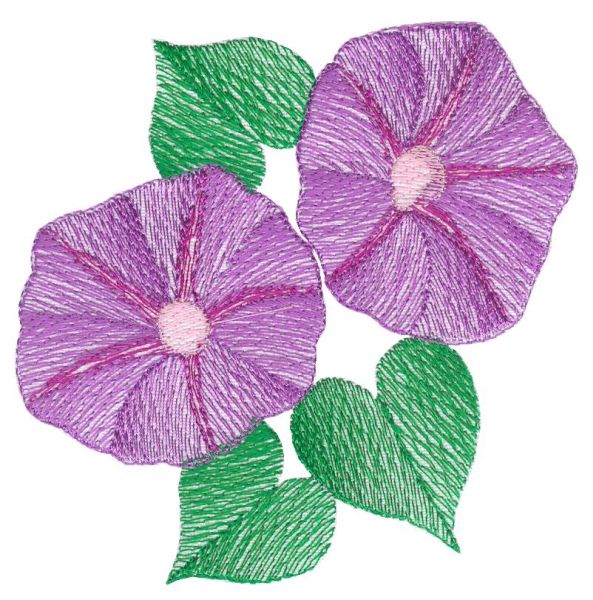 Lite Morning Glories Sets 1 and 2 Small-27