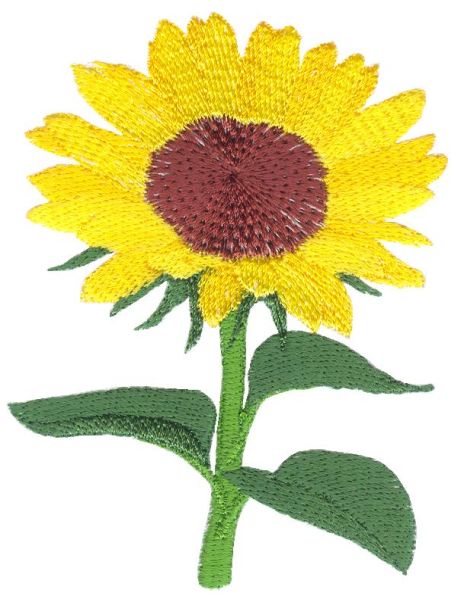 Sunflower Delight Set 1 Small-4