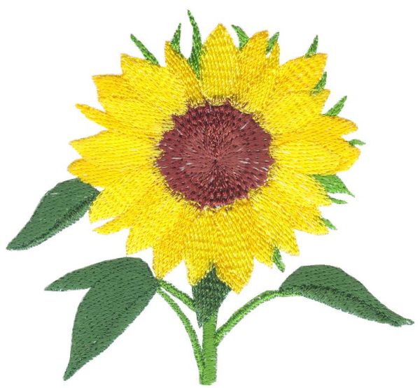 Sunflower Delight Set 1 Small-7