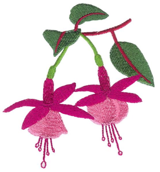 Fuchsia Delight Sets 1 and 2 Small-4