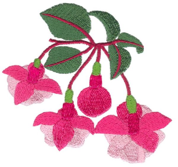 Fuchsia Delight Sets 1 and 2 Small-14