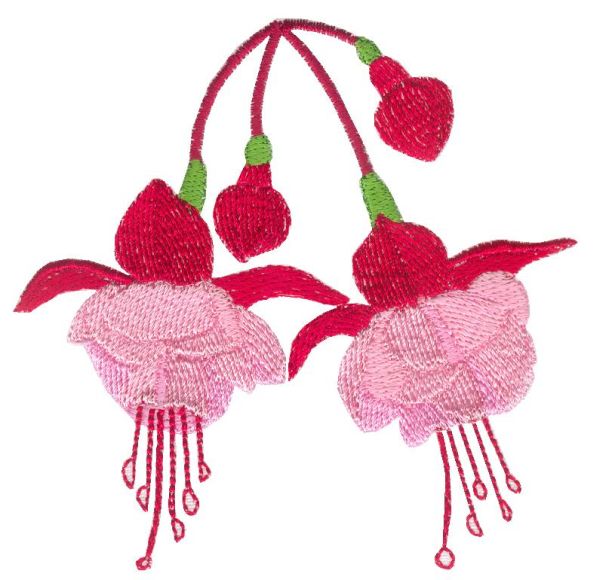 Fuchsia Delight Sets 1 and 2 Small-22