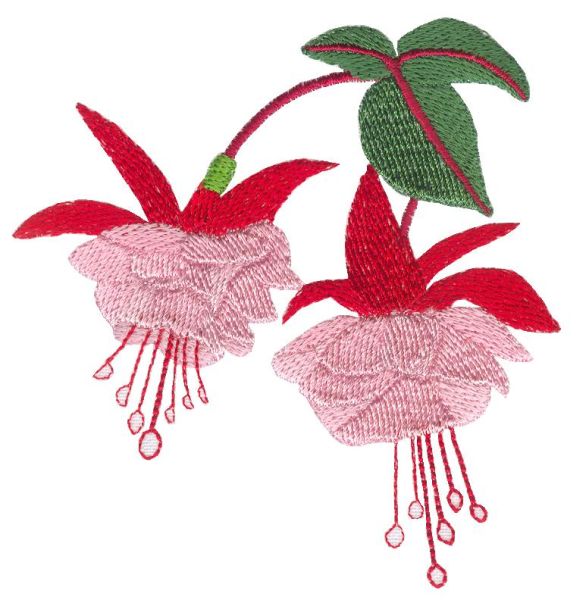Fuchsia Delight Sets 1 and 2 Small-26