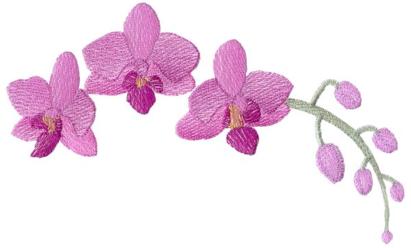 Lite Orchids Set 2 Large-5