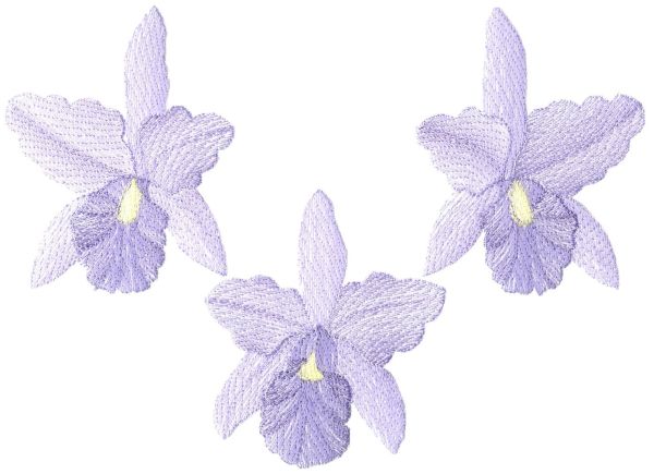 Lite Orchids Sets 1 and 2 Large-5
