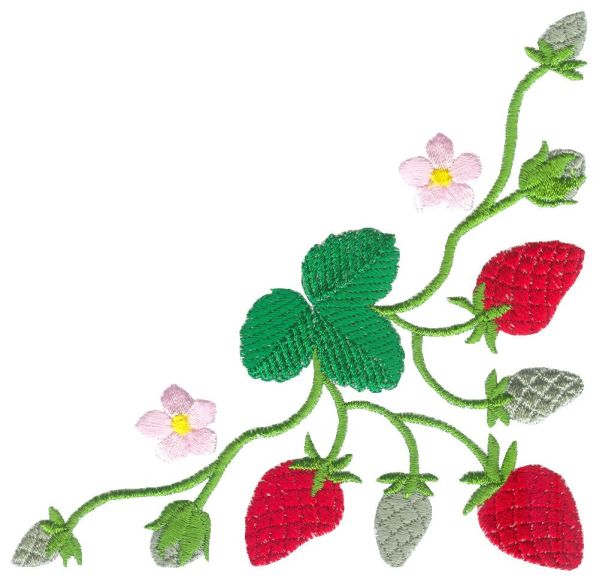 Beautiful Strawberries!-3