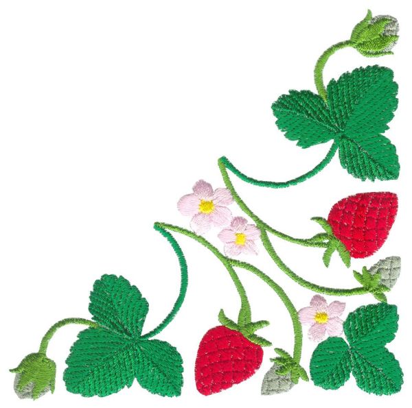 Beautiful Strawberries!-4