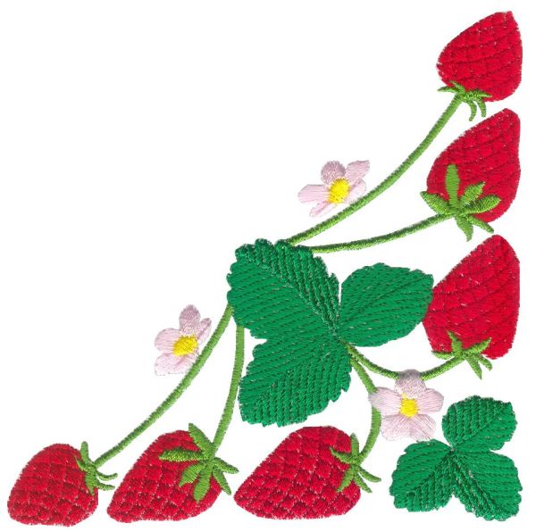 Beautiful Strawberries!-6