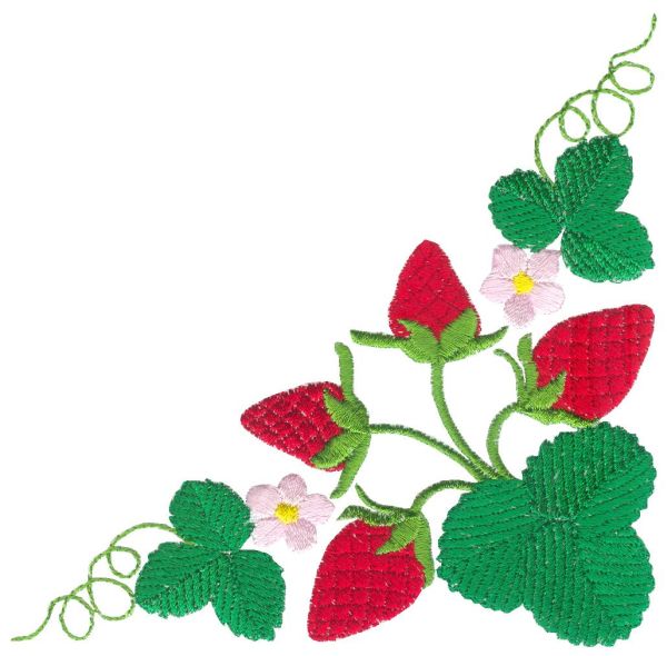 Beautiful Strawberries!-10