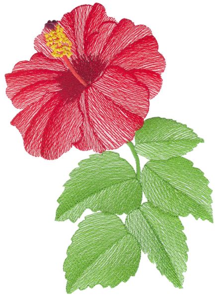 Lite Hibiscus Sets 1 and 2 Large-20