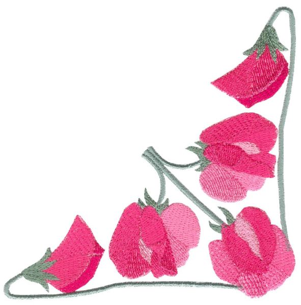 Sweet Pea Sensation Set 2 Large-4