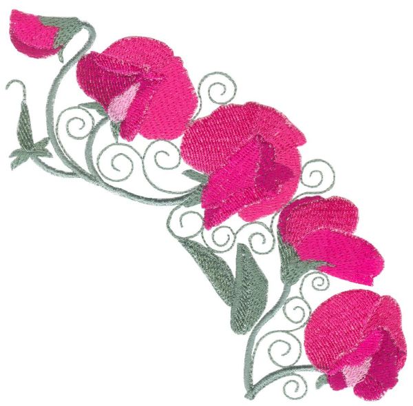 Sweet Pea Sensation Set 2 Large-7