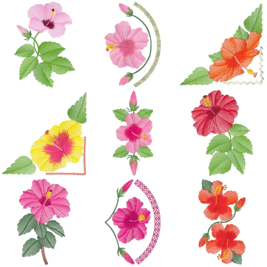 Lite Hibiscus Set 2 Large
