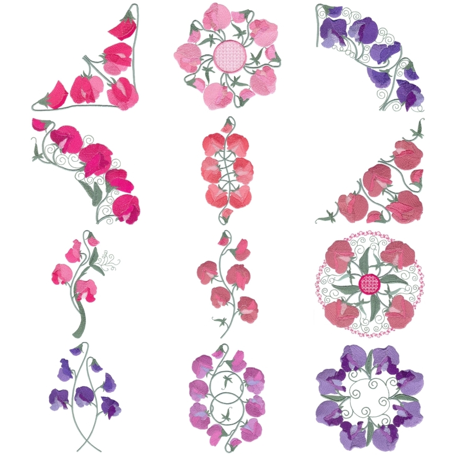 Sweet Pea Sensation Set 2 Large