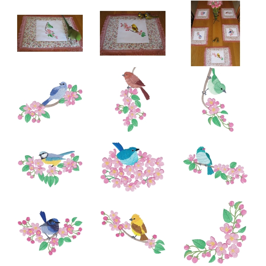 Birds and Blossom Set 1 Large 