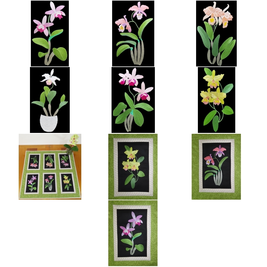 Awesome Orchids Extra Large Set 1