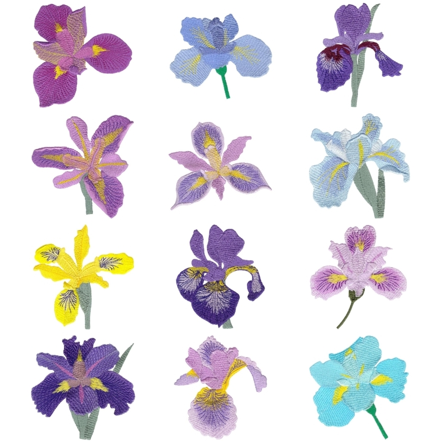 Irresistible Irises Set 1 Small