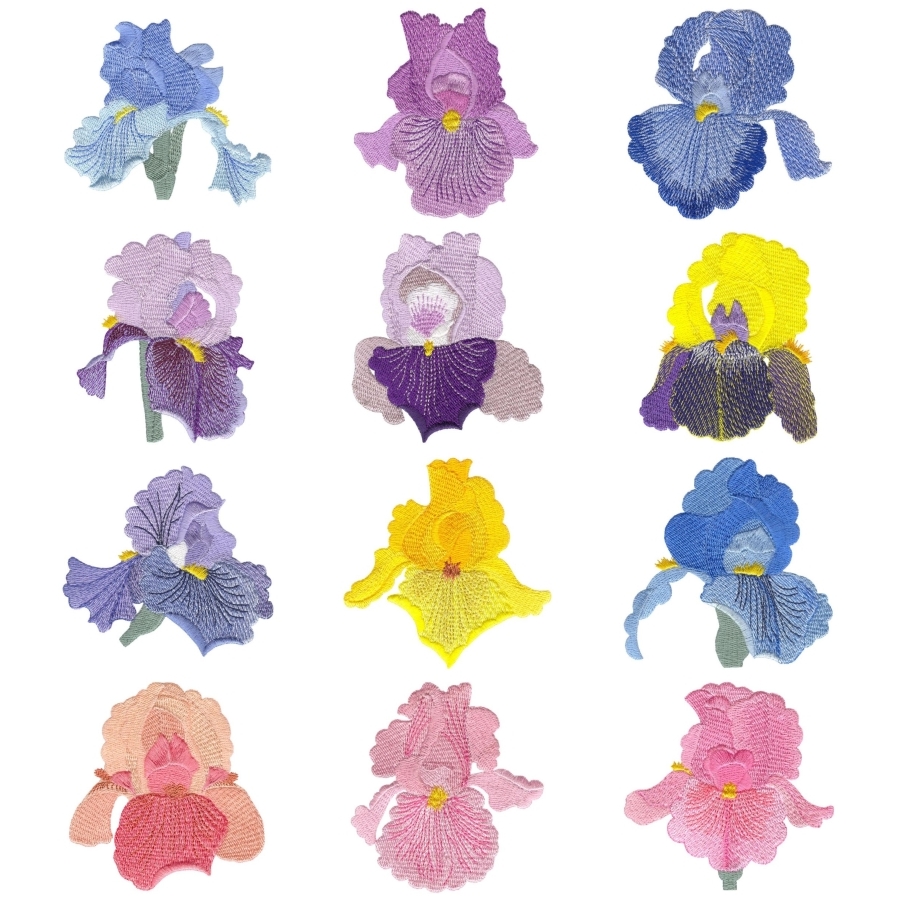 Irresistible Irises Set 2 Small