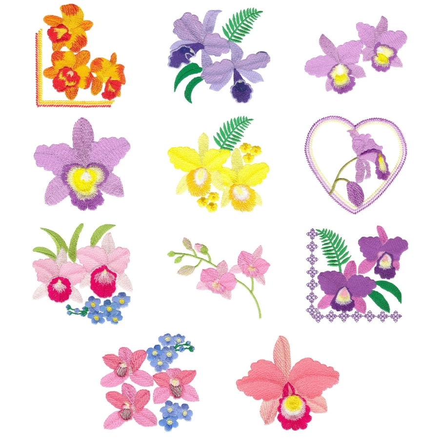 Awesome Orchids Set 2 Small