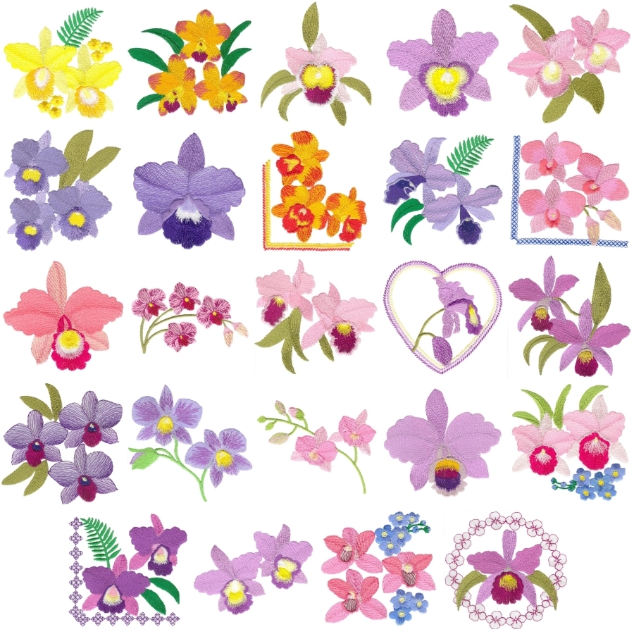 Awesome Orchids Sets 1 and 2 Small
