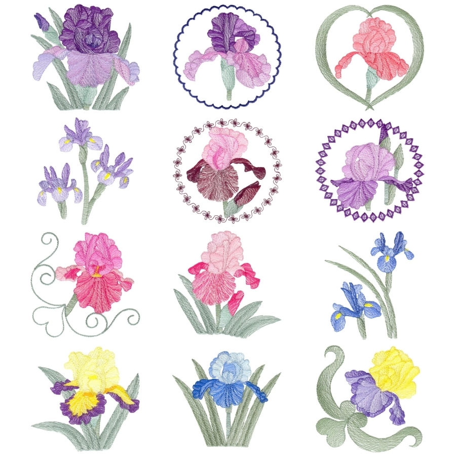 Lite Irises Set 1 Small