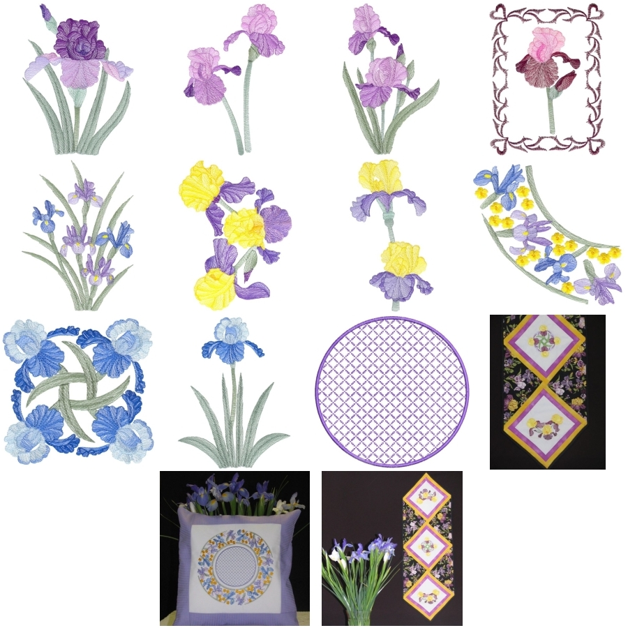Lite Irises Set 1 Large