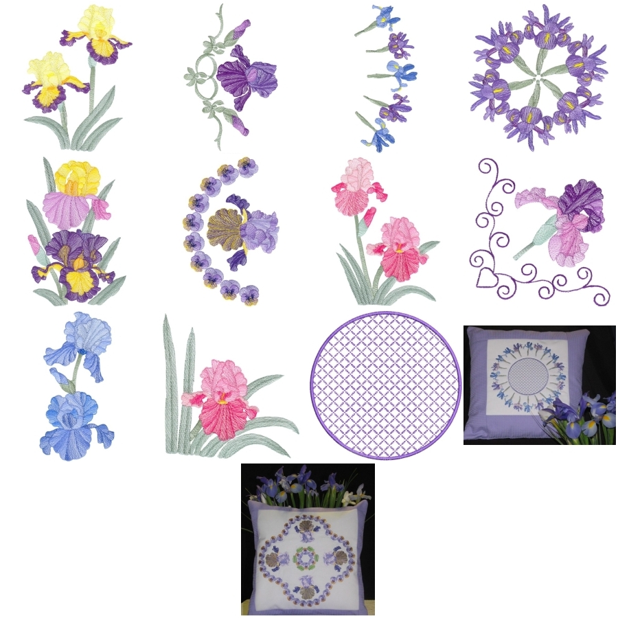 Lite Irises Set 2 Large