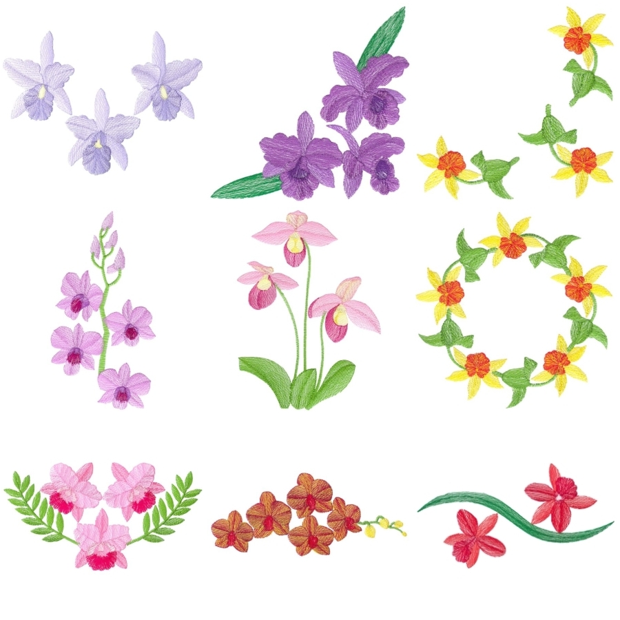 Lite Orchids Set 1 Large