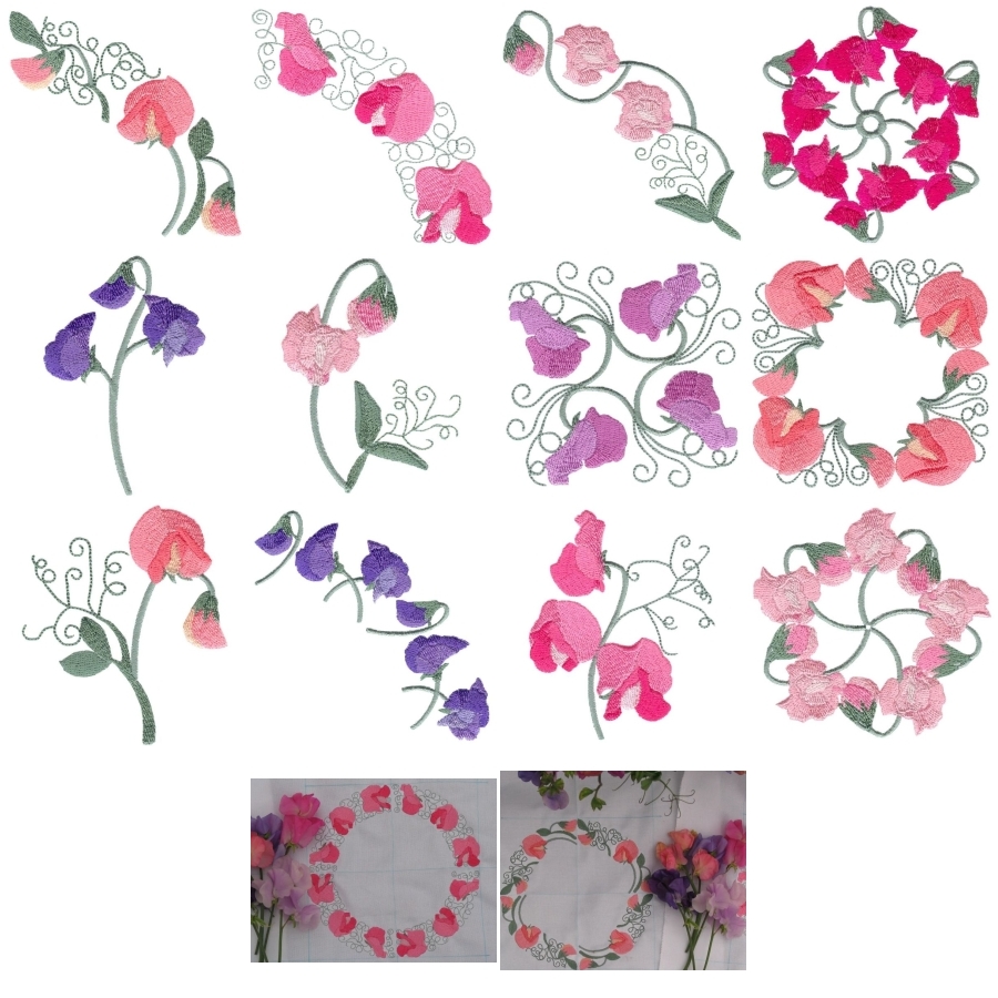 Sweet Pea Sensation Set 2 Small